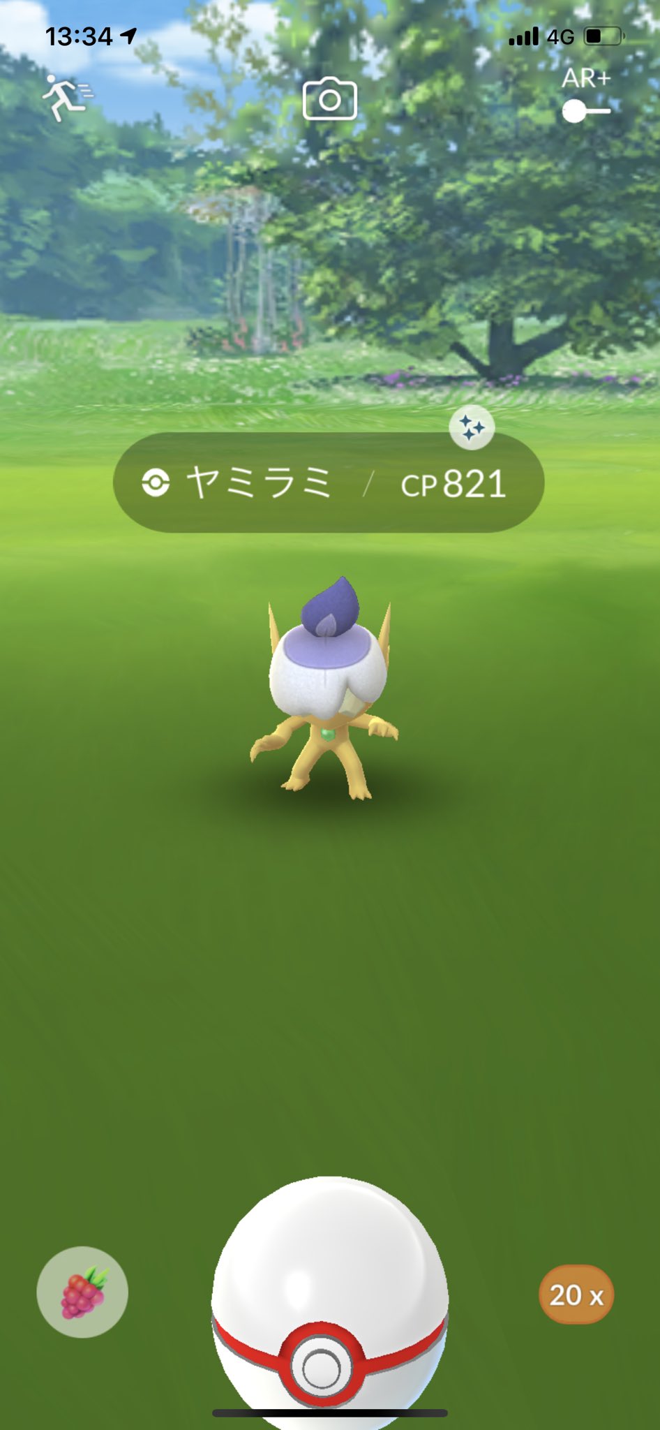 ヤミラミ色違い Twitter Search Twitter
