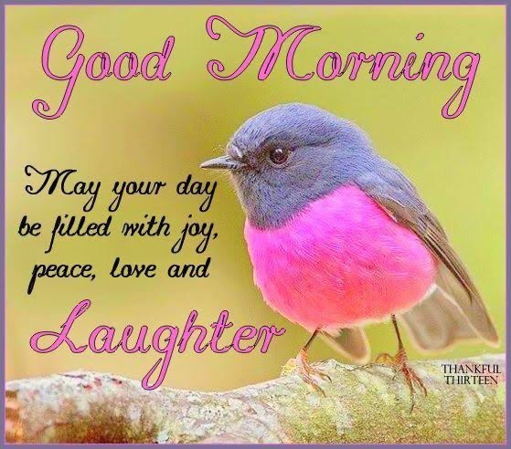 may farah (@mayfarah1may) on Twitter photo 