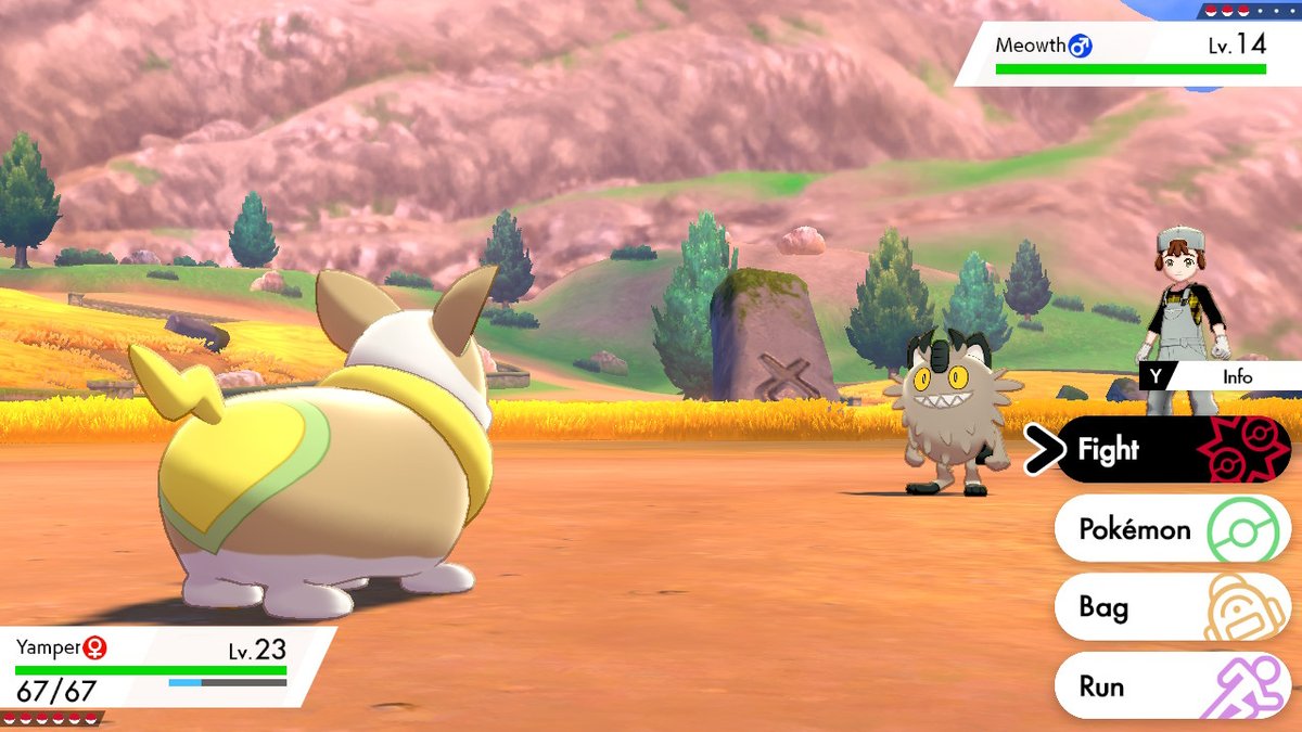 Diamondbiscuit1's tweet photo. #PokemonSwordShield #NintendoSwitch https://t.co/B2snX1BdSg