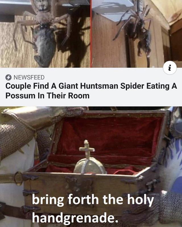 myunclesmemes's tweet photo. The holy hand grenade of antioch https://t.co/Jwdk2NhVlJ