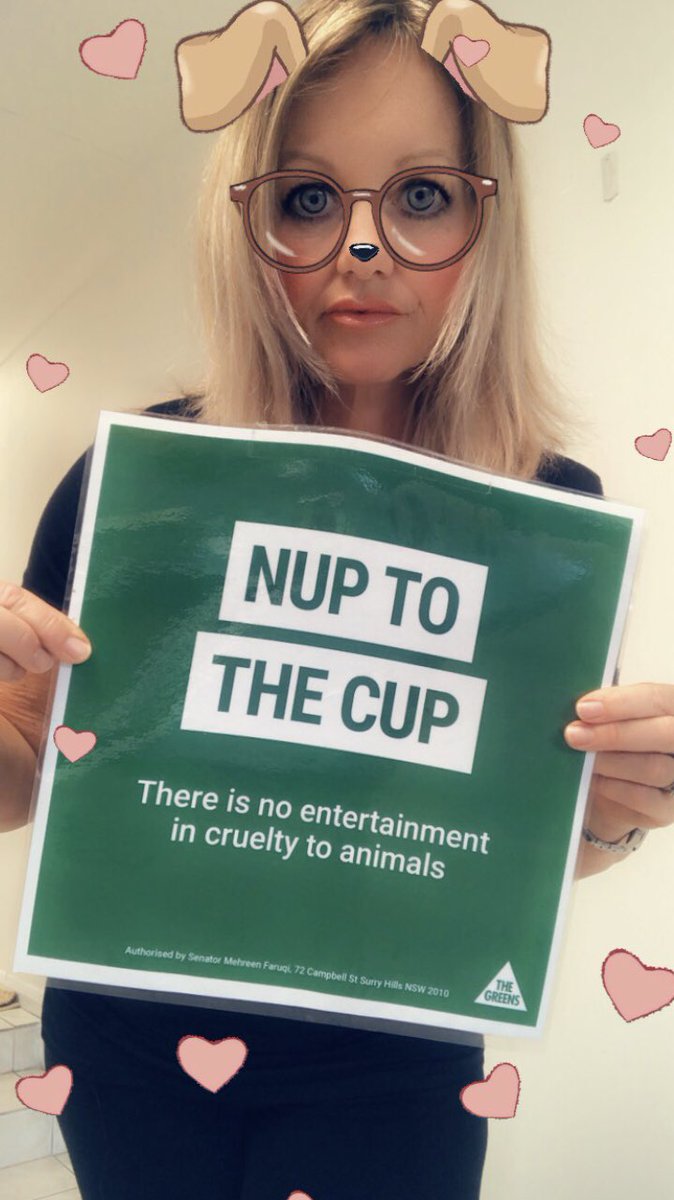 LReadett's tweet photo. Thousands of Racehirses get sent to cruel slaughter every year because they don’t earn enough money for their owners. Some are flown to Korea where abhorrent abuse awaits them .Do not Bet on Animal Cruelty. #youbettheydie #MelbourneCup2020 #Horseracingkills #NupToTheCup @AJPNSW https://t.co/XZ6VxBWN4d