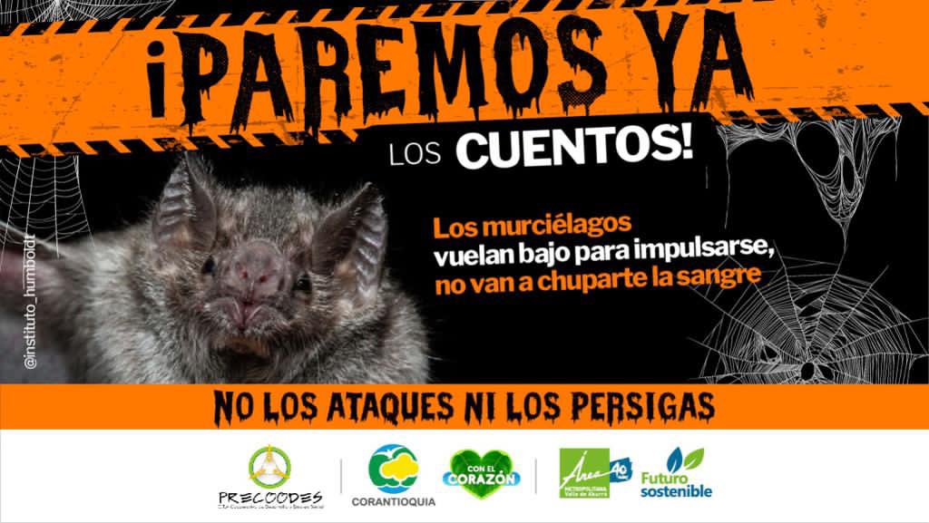 Areametropol's tweet photo. ¡#ParemosYa los cuentos! Los murciélagos 🦇 no te harán daño ni te chuparán la sangre 🩸🧛‍♂️. 

Esta especie es una gran dispersora de semillas además de un experto mamífero volador. ¡Cuídalos! https://t.co/s6hW3AXNst
