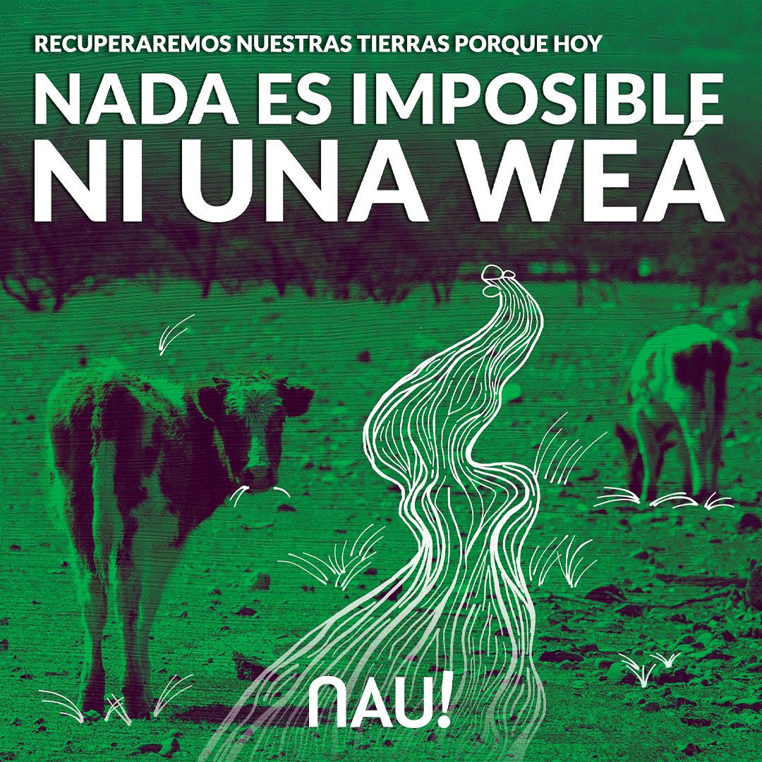 naupuc's tweet photo. Zonas como #Petorca han sido saqueadas. Es tiempo de proteger nuestros recursos naturales, terminar con las zonas de sacrificio y soñar un país más sustentable, por aquellxs que ya están y lxs que vienen. 

Protegeremos nuestras tierras porque NADA ES IMPOSIBLE #NIUNAWEA https://t.co/DzEYAuB83c