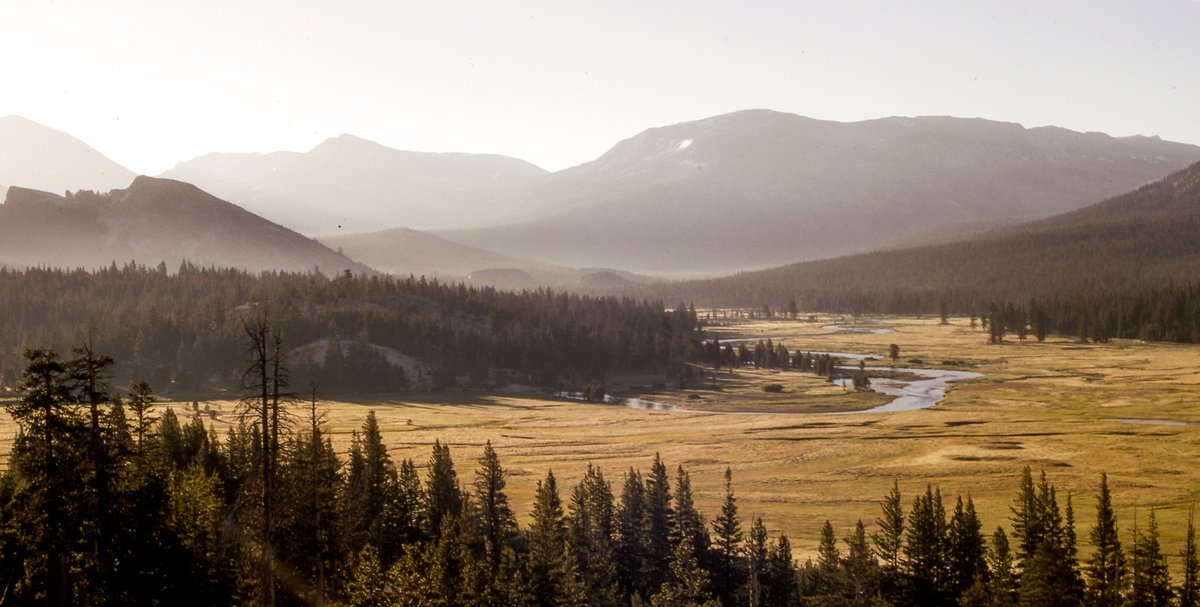 YosemiteNPS's tweet image. "We simply need that wild country available to us, even if we never do more than drive to its edge and look in. For it can be a means of reassuring ourselves of our sanity as creatures, a part of the geography of hope."
– Wallace Stegner

[📷 Tuolumne Meadows from Pothole Dome]