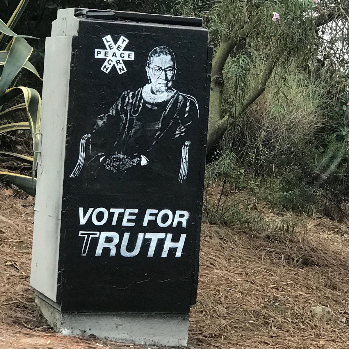 CharlizeAfrica's tweet image. Do it for her. #Vote