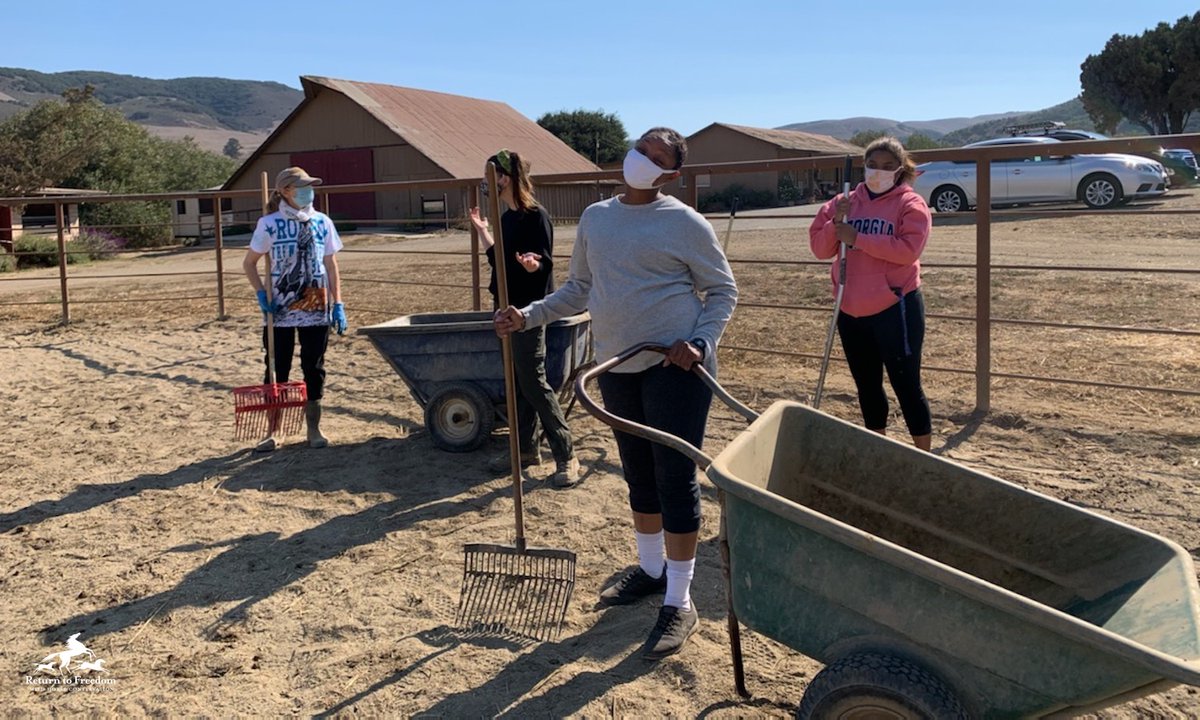We love our volunteers, like Annette, Maira, Tiffini and Gabby, who worked Saturday at our #Lompoc HQ, and all the volunteers who put in hundreds of hours to help our wild horse sanctuary operate! Ready to join them? Contact volunteers@returntofreedom.org. #centalcoast