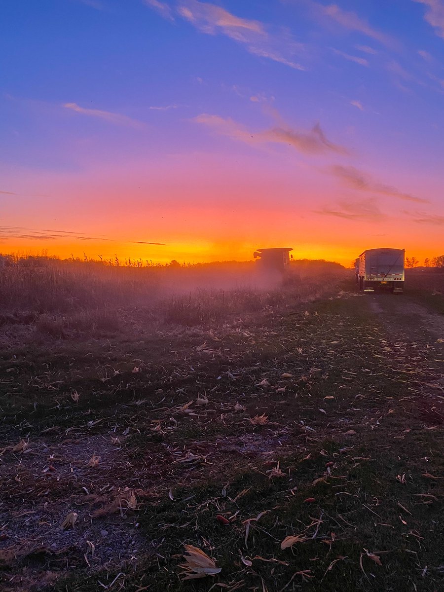 Talk about a harvest sunset. #harvest #wisconsinharvest #sunset