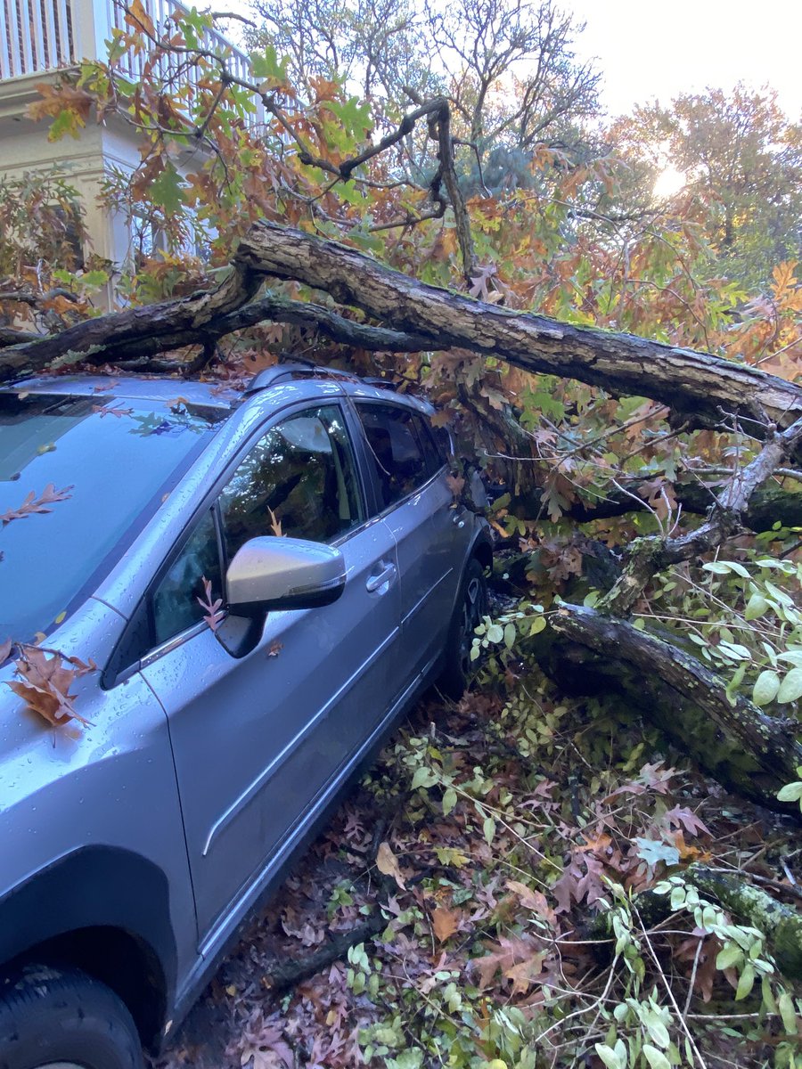 samelimom's tweet photo. @subaru_usa  an oak tree fell on my crosstrek- the outside took a beating but the inside was safe. Luckily I wasn’t in it when it happened, but so good to know that my Subaru was like a tank and will keep my family safe. I’ll need to replace her, but it will def be with a subie! https://t.co/hcO4PgtTXW