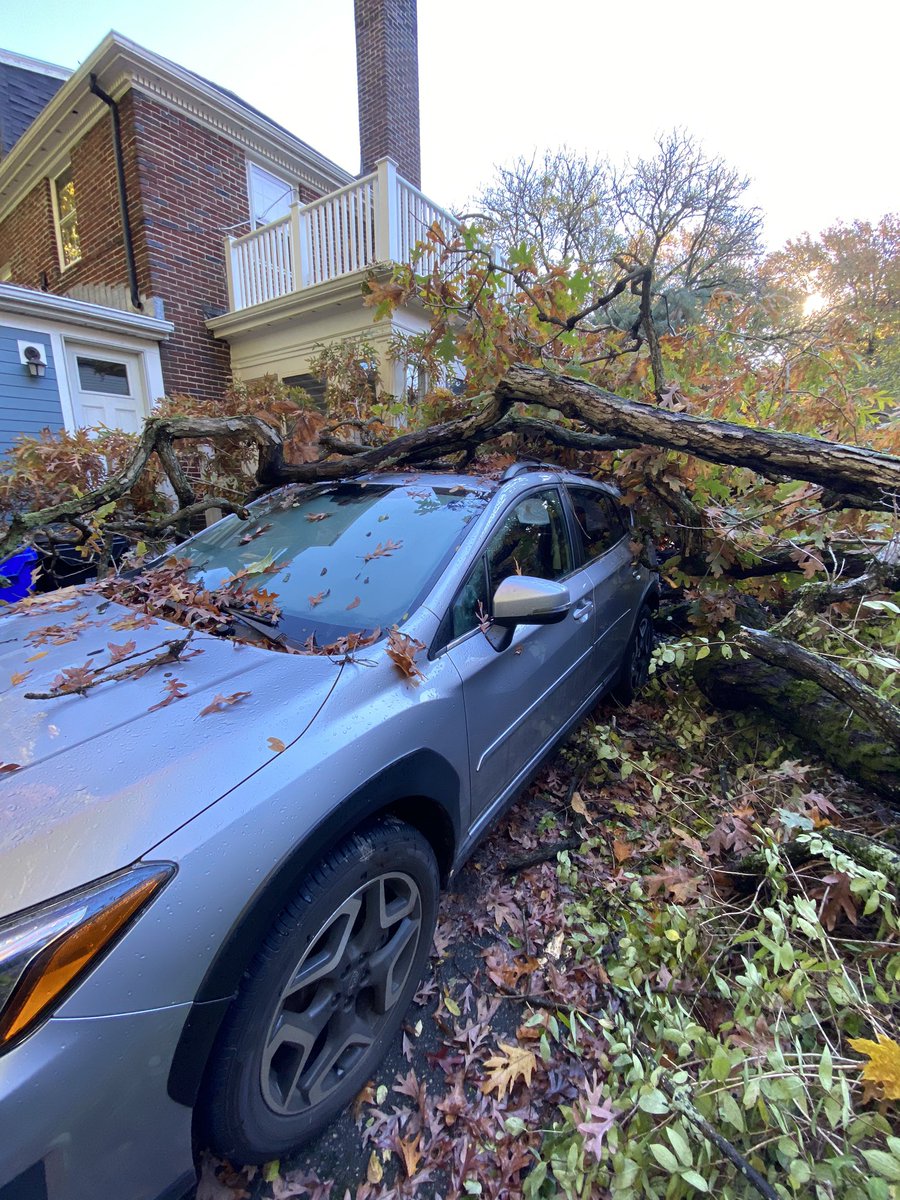 samelimom's tweet photo. @subaru_usa  an oak tree fell on my crosstrek- the outside took a beating but the inside was safe. Luckily I wasn’t in it when it happened, but so good to know that my Subaru was like a tank and will keep my family safe. I’ll need to replace her, but it will def be with a subie! https://t.co/hcO4PgtTXW