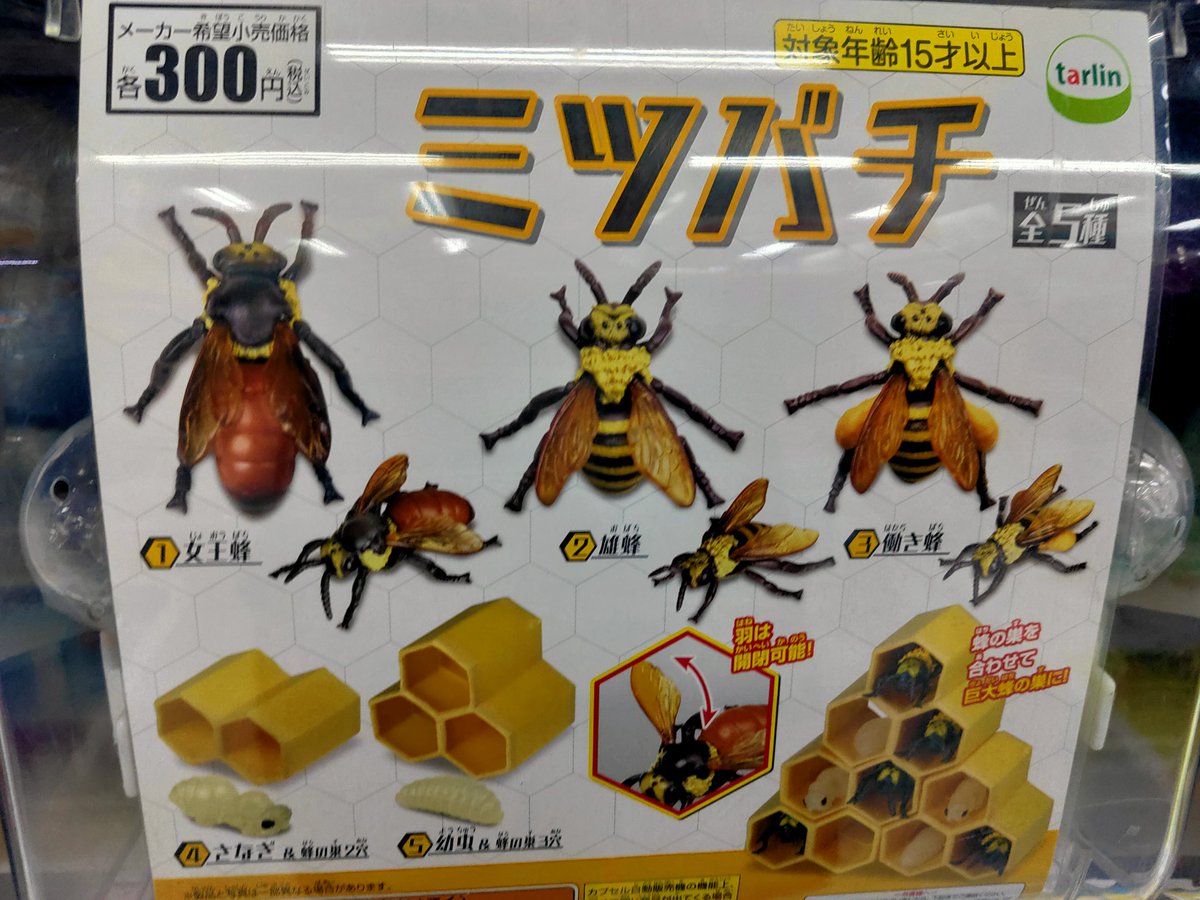 ガチャガチャ評論家おまつ Withnewsでコラム連載中 ブロガー على تويتر ターリン インターナショナルからミツバチのガチャガチャ ガチャガチャはときには 蜂の生態を学ぶ教材の役割にもなる 本で学ぶよりも ガチャガチャを回す体験でより記憶に残る効果が ガチャガチャ評論家おまつ Withnewsでコラム連載中 ブロガー على تويتر ターリン インターナショナルからミツバチのガチャガチャ ガチャガチャはときには 蜂の生態を学ぶ教材の役割にもなる 本で学ぶよりも ガチャガチャを回す体験でより記憶に残る効果が