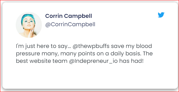 thewpbuffs's tweet photo. We're busy around the clock with your #WordPress support needs (so you don't have to be). #Bufftastic https://t.co/vgdZay8toO