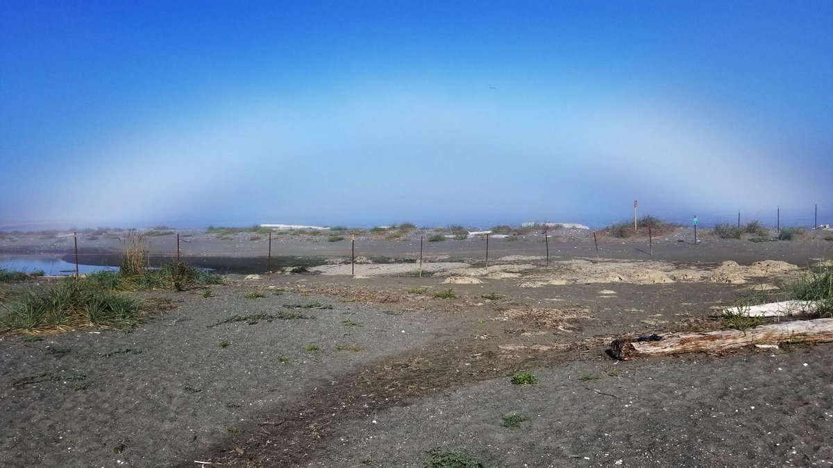 Sequim Gazette tweet media