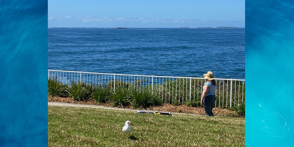 OneHealthAu's tweet photo. World #OneHealthDay | Recognising the interconnected nature of human, animal &amp; environmental #health is integral to understanding antimicrobial resistance &amp; #superbugs. 
Our photo looks out to Five Islands where #OUTBREAKProject collects samples from gulls to monitor #AMR levels. https://t.co/gFzcvItbcS