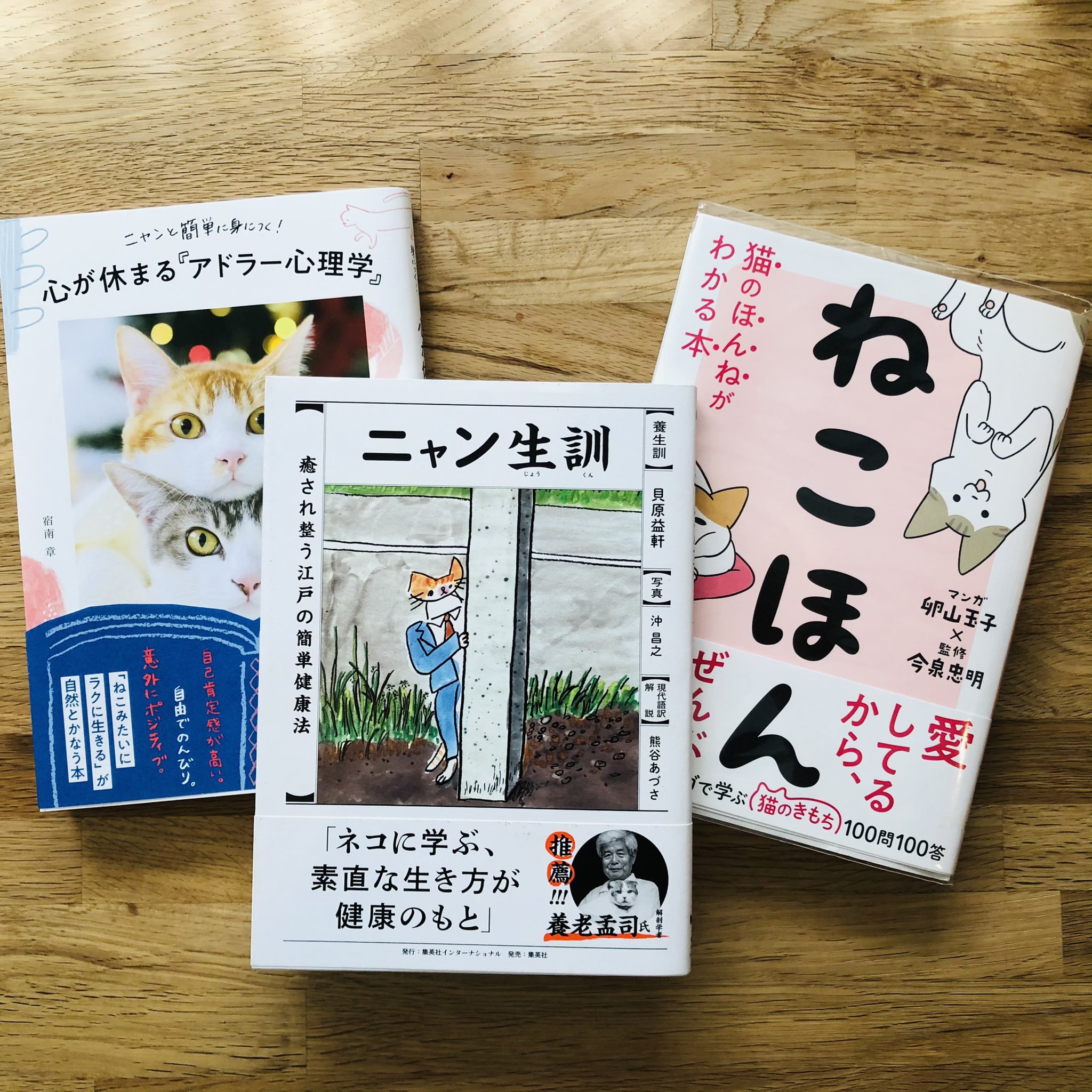 チョコチップ 文化の日なのでお気に入りの本たちを読みます 文化の日 読書 お菓子の包み紙 東京のおいしい名建築さんぽ 幸福のチョコレートを探しにどこまでも チョコレート好き デザイン好き 建築好き 猫好き 保護猫 ねこほん ニャン生