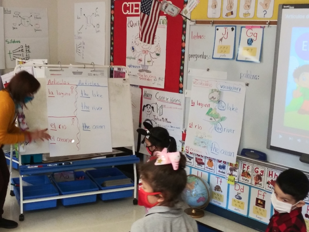 BonnerTylerISD's tweet photo. The Bridge in action in Ms. Zavala's kindergarten dual language class @BonnerTylerISD! Connecting science vocabulary in English and Spanish using total physical response, transfer anchor chart, pictures, and sentence stems. #A2D #BonnerDualLanguage #Mightybees https://t.co/kKsana4mDx