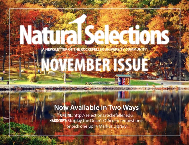 Our November issue is available now!

Featuring an interview with mental health professionals at Rockefeller, a piece on recent Nobel Laureate Charlie Rice, Rockefeller's information security team works from home, and much more:

selections.rockefeller.edu/wp-content/upl…