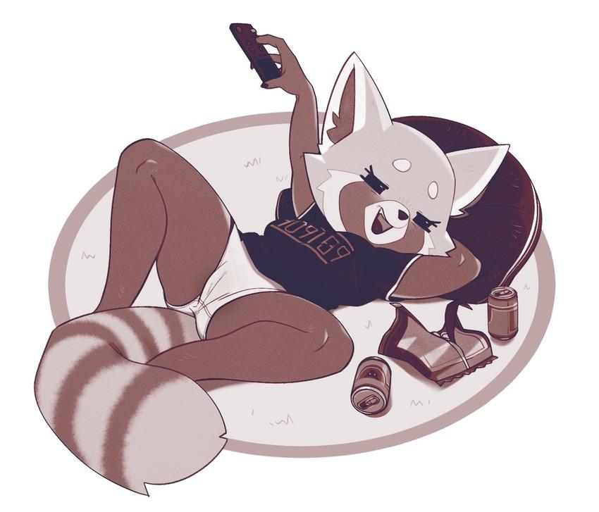 What Retsuko does at home and passing time when she is not outside.