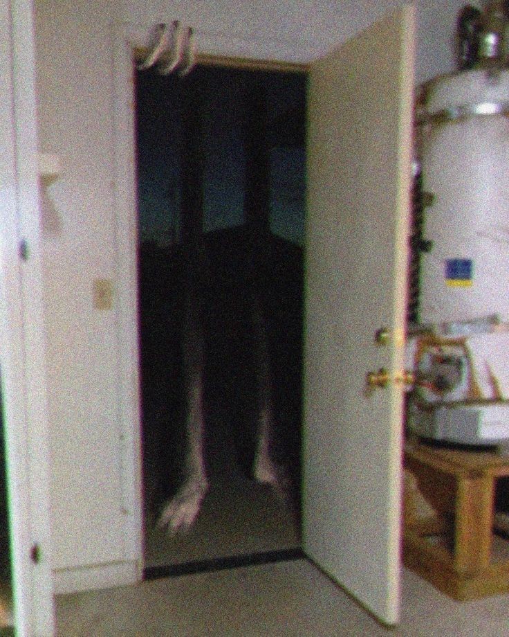 luisskkjk's tweet image. Alguém bate na sua porta a noite, quando você abre se depara com isso, o que faria?