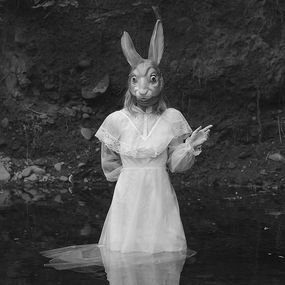 luisskkjk's tweet image. Você vai nadar no lago e surge essa criatura na sua frente, o que faria?