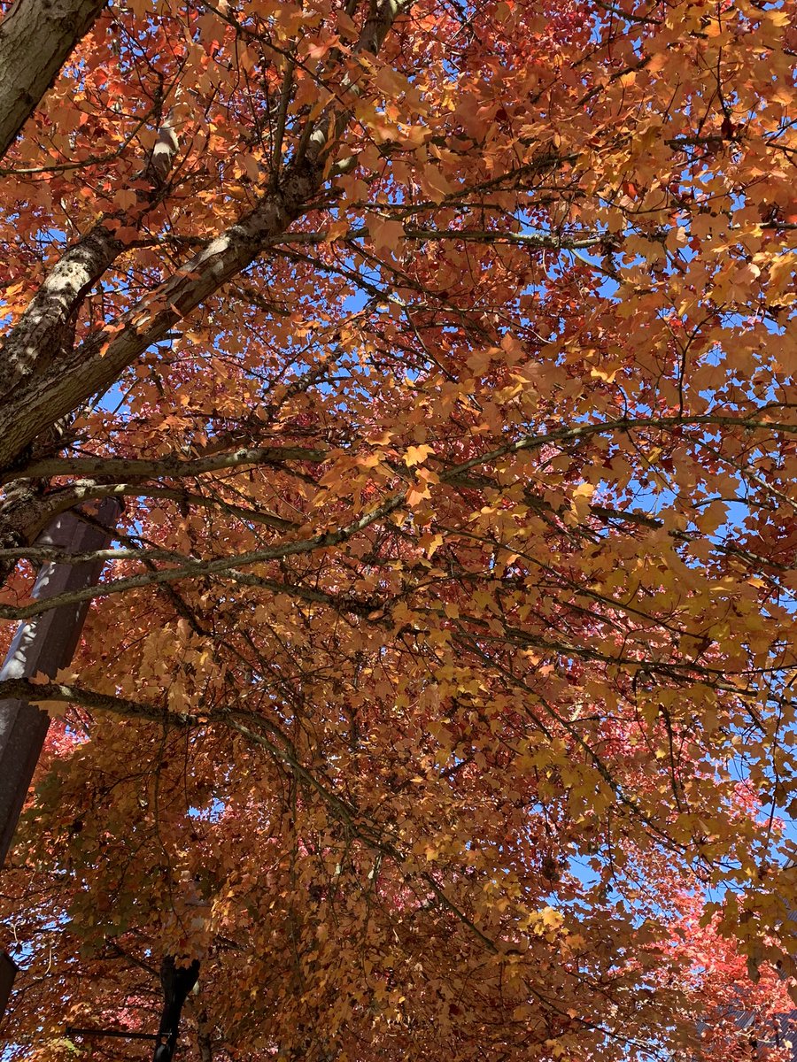 BeavertonLib tweet picture