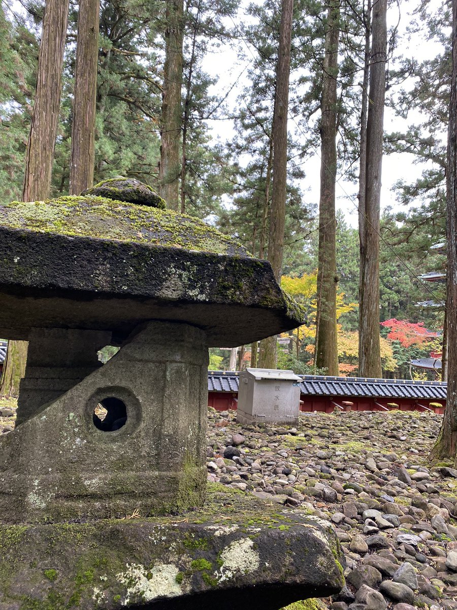 オーリー🇺🇸群馬ノマド釣りバカ日報 tweet media