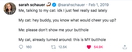 TailorLilBaker's tweet photo. @august_a07 @ThomasSanders That's exactly what I was thinking! There's this tweet I keep reading in Thomas and Remus's voice, respectively: https://t.co/lnWYtVrL3u