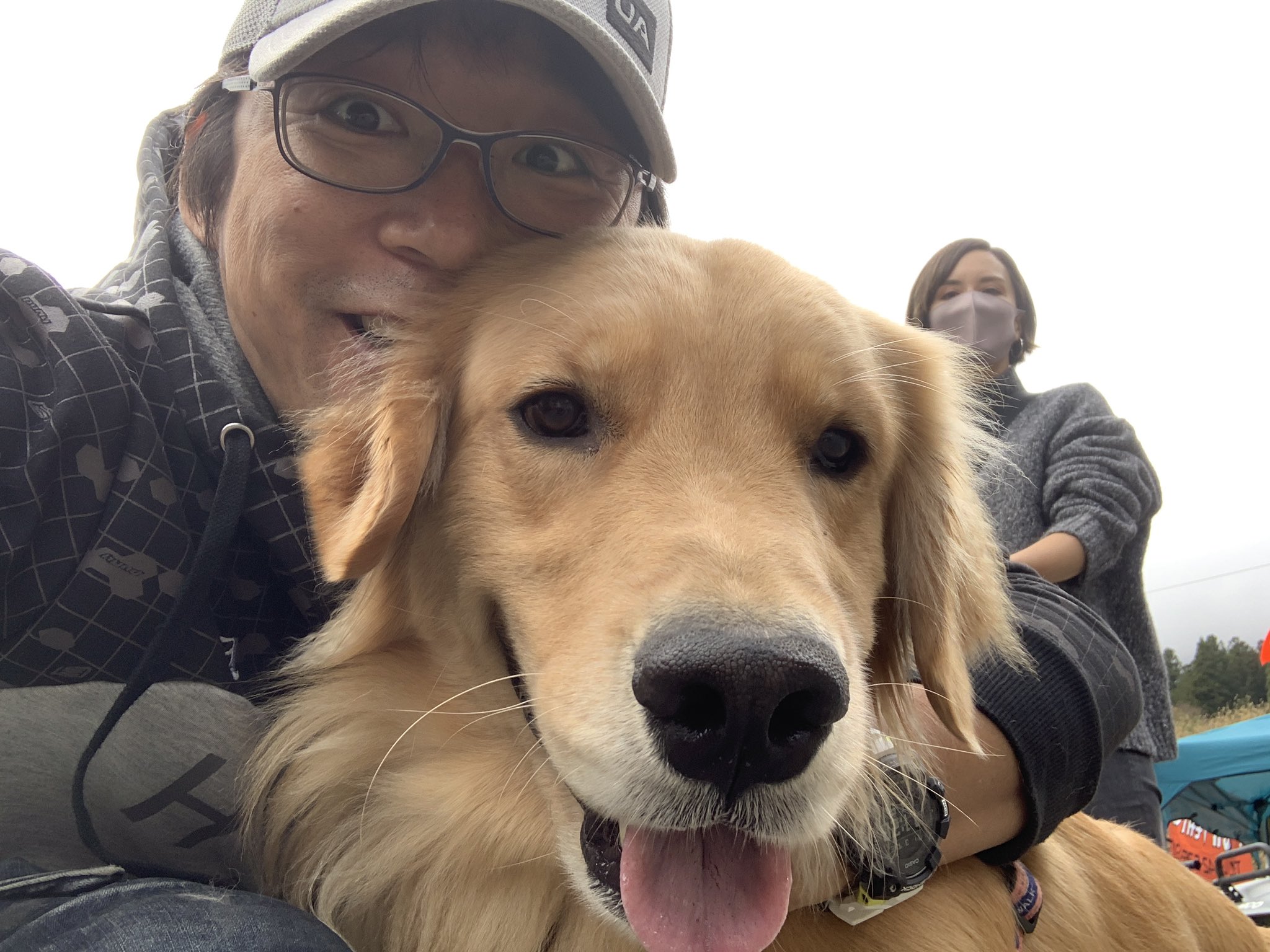 ゴールデン レトリバー 二宮 ゴールデンレトリバー専門ブリーダーぴーすのホームページ Amp Petmd Com