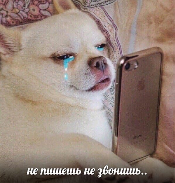 bestpolya's tweet photo. https://t.co/D6hXX1Uf7d