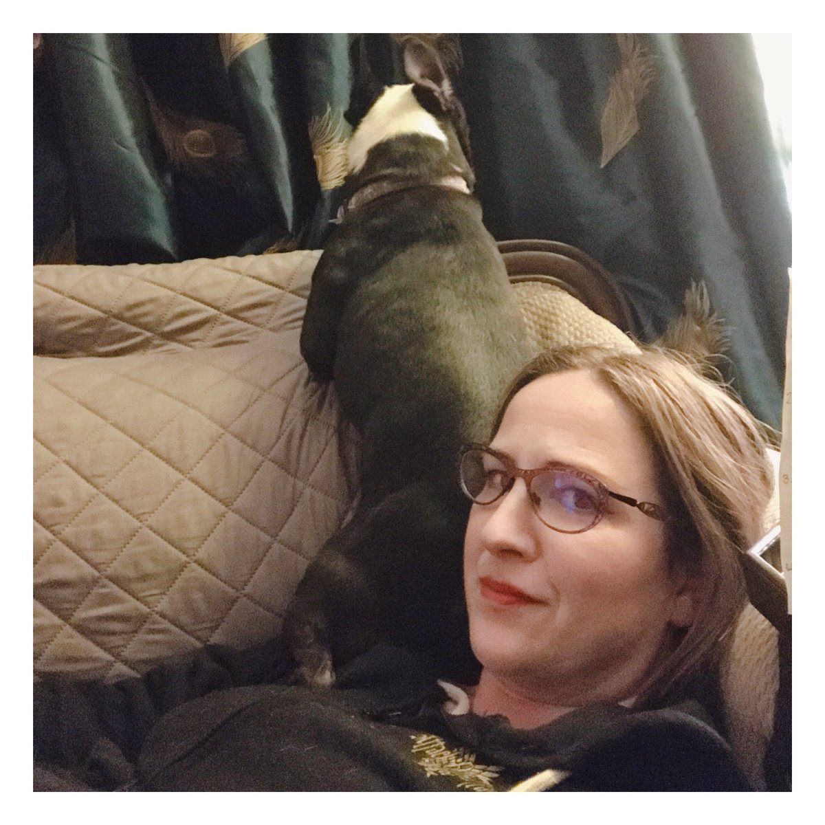 Missrithenay's tweet photo. This has been my whole night. I think someone broke my dog.
.
.
#bostonterrier #bostonterrierlove #bostonterrierlife #weirddog #weirddogs #sendhelp #trapped #authorlife #writerlife #teacherlife #mydog #doggosbeingdoggos https://t.co/fke95EVvqL