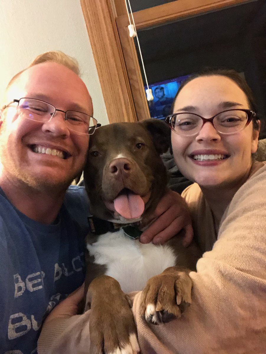 LockenSpider's tweet photo. How it started vs. How it's going. Happy Gotcha Day Eevee! https://t.co/VAAyNQZ5Oh