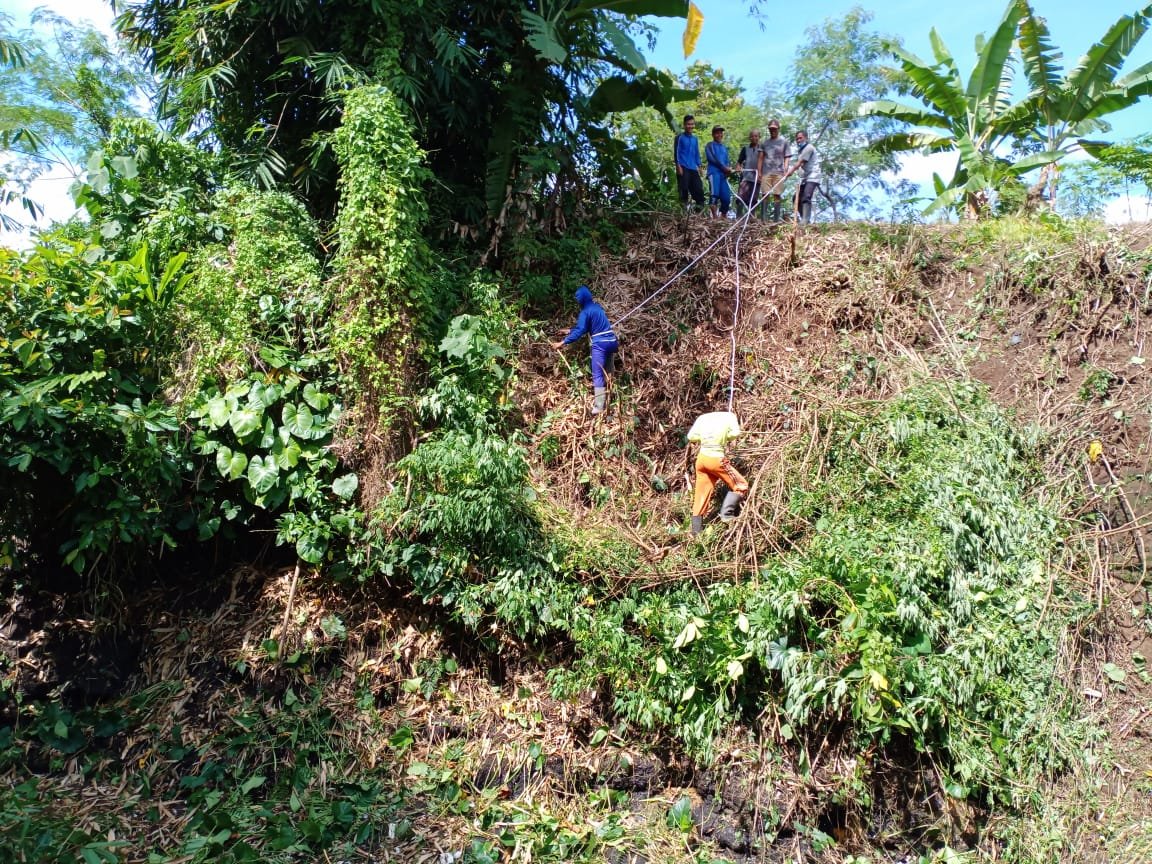 KorsdaGenteng's tweet photo. Kerja bakti bersama...
Selalu rukun dan kerja sama dalam segala hal...
@kecgenteng
@kantor_cluring
@kec_tegalsari
@KecamatanSempu @kec_gambiran
@banyuwangi_kab
@p50_guntur https://t.co/PGJqQlaB7m
