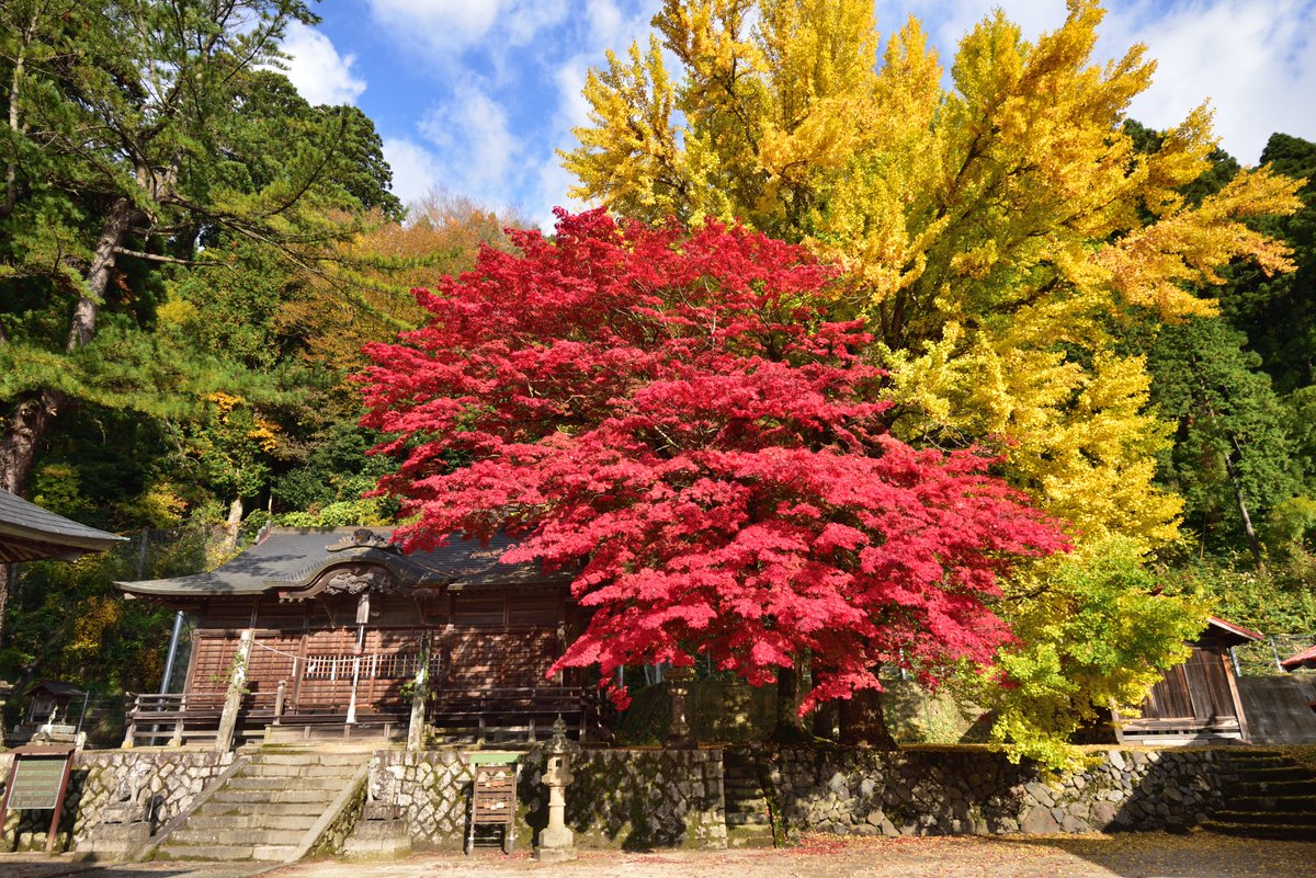 ひるぜん焼そば好いとん会 蒜山観光協会 本日の紅葉情報 全体的に見頃をむかえています 気持ちの良い天気の中 蒜山で秋の行楽をお楽しみくださいませ 蒜山 紅葉 ひるぜん焼そば好いとん会 蒜山観光協会 本日の紅葉情報 全体的に見頃をむかえています 気持ちの良い天気の中 蒜山で秋の行楽をお楽しみくださいませ 蒜山 紅葉