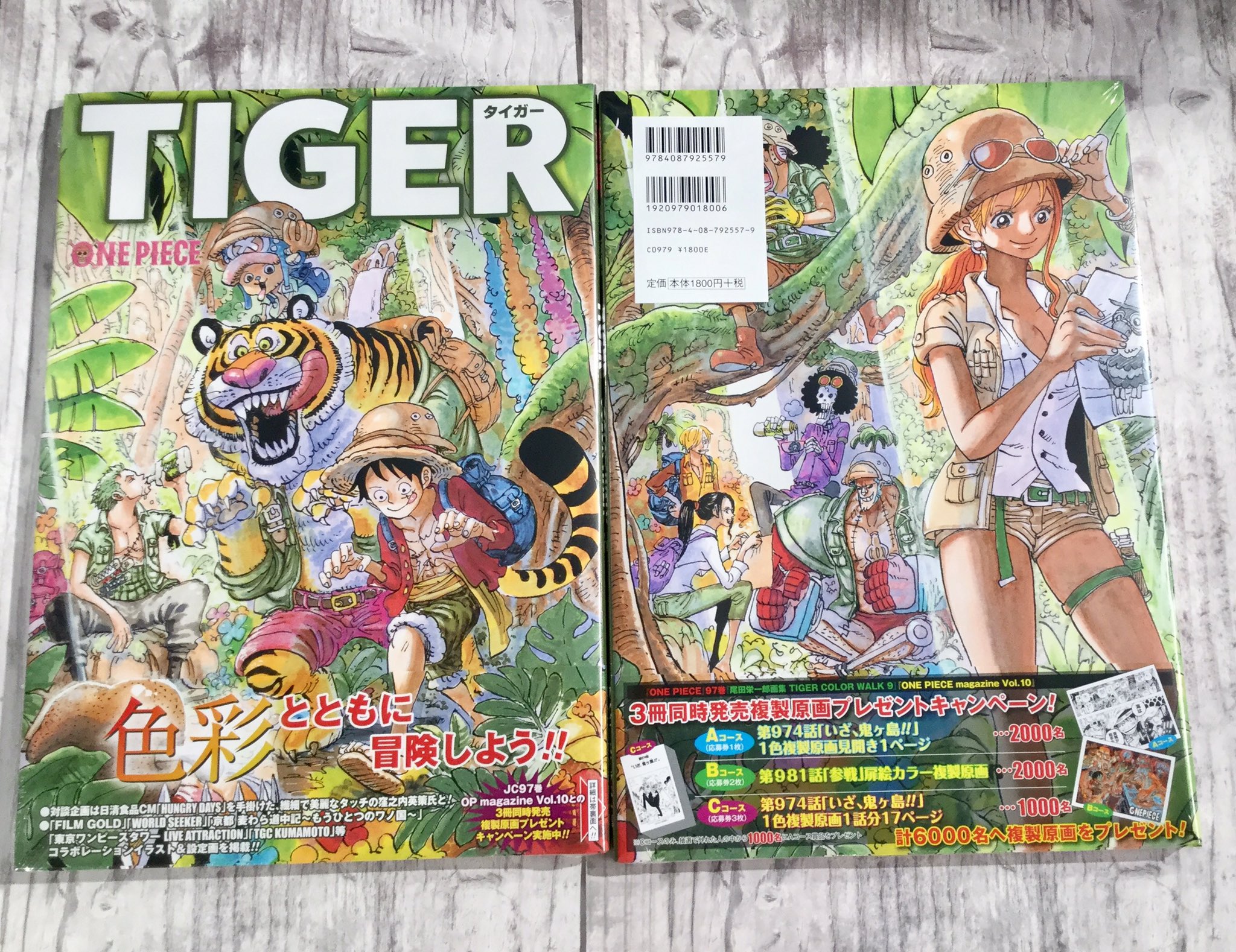 تويتر One Piece 麦わらストア福岡店 على تويتر オススメ商品 尾田栄一郎画集 Color Walk 9 Tiger 1 980円 税込 好評発売中 麦わらストア Onepiece T Co Ym6ssbt96k