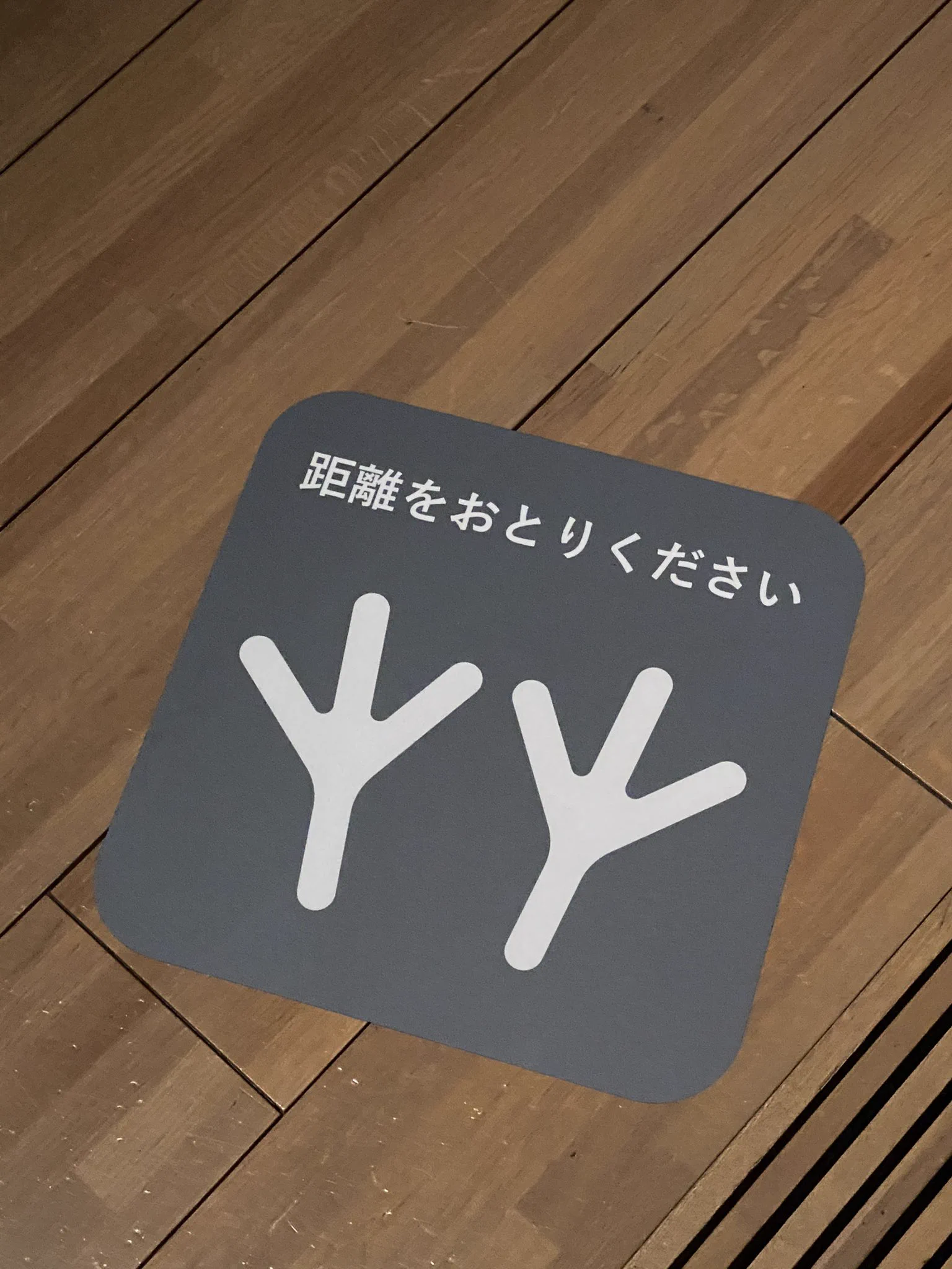 サントリー美術館「日本美術の裏の裏」展示の見せ方がおしゃれです。