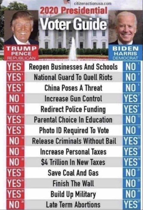 tayt_2's tweet photo. maybe you don’t like President Trump, but his policies won’t destroy our economy or take away our freedom. please vote wisely. i don’t want to lose my money, my opportunities, my freedom, and my future. and i know you don’t want to either. #VoteTrump https://t.co/ULsrl1vCI2