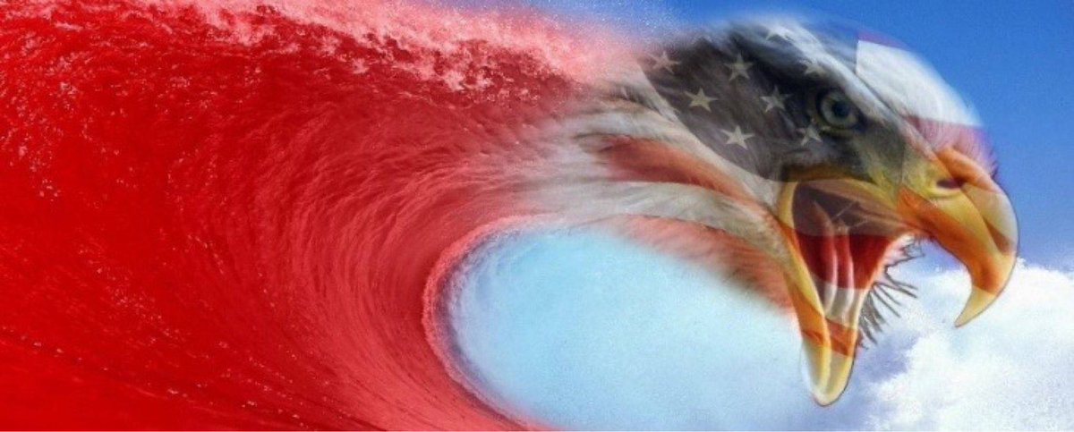 I’ll leave this right here for the next 24... This big beautiful RED WAVE is running across the United States of America on 3 NOV. #DigitalSoldiers #WeAreWoke VOTE: ⁦@realDonaldTrump⁩ for ⁦@POTUS⁩