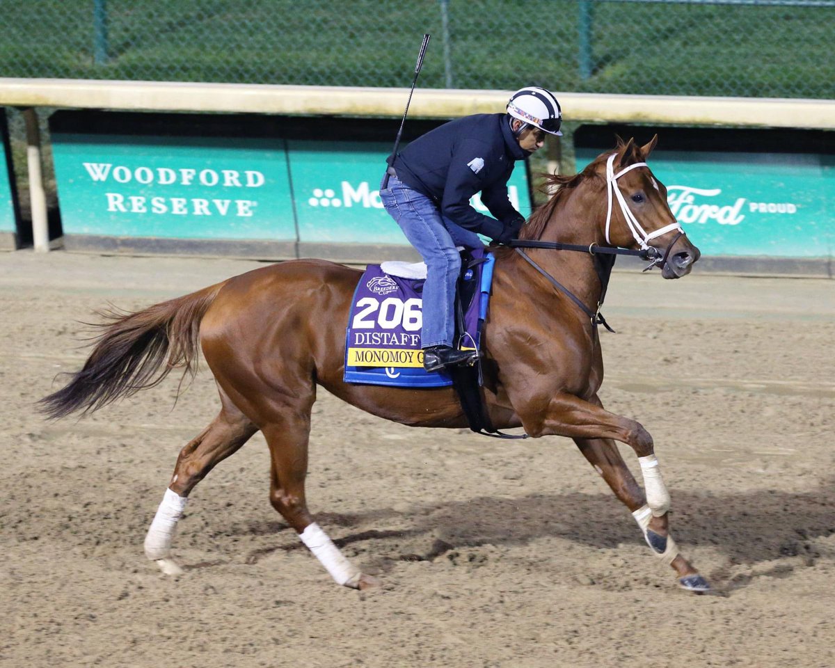FER_ESPINOZA85's tweet photo. @BreedersCup 2020 💪🏽💪🏽💪🏽😉 https://t.co/Yt3yP6VQSx