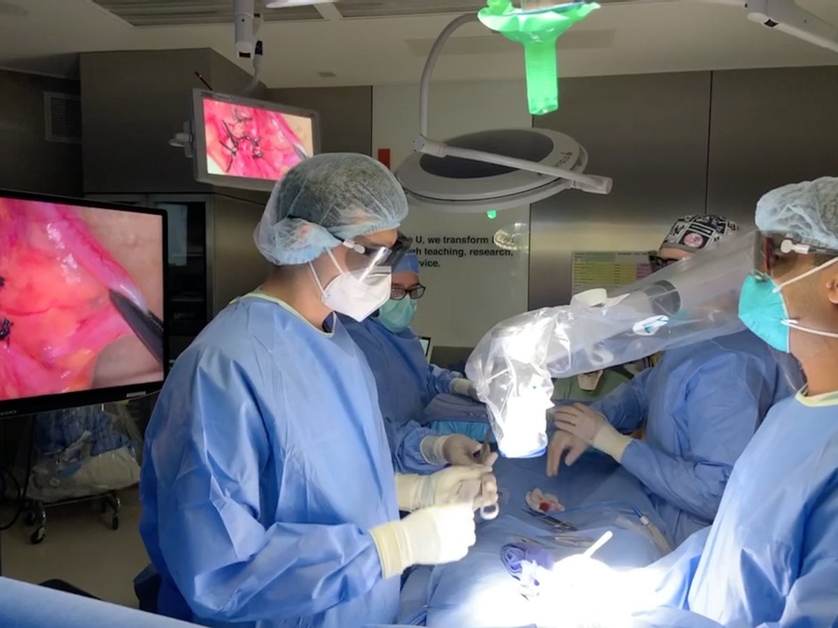 Max Towe tweet media