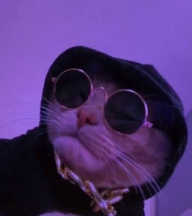 𝙋𝙚𝙧𝙩.𝙥 tweet media