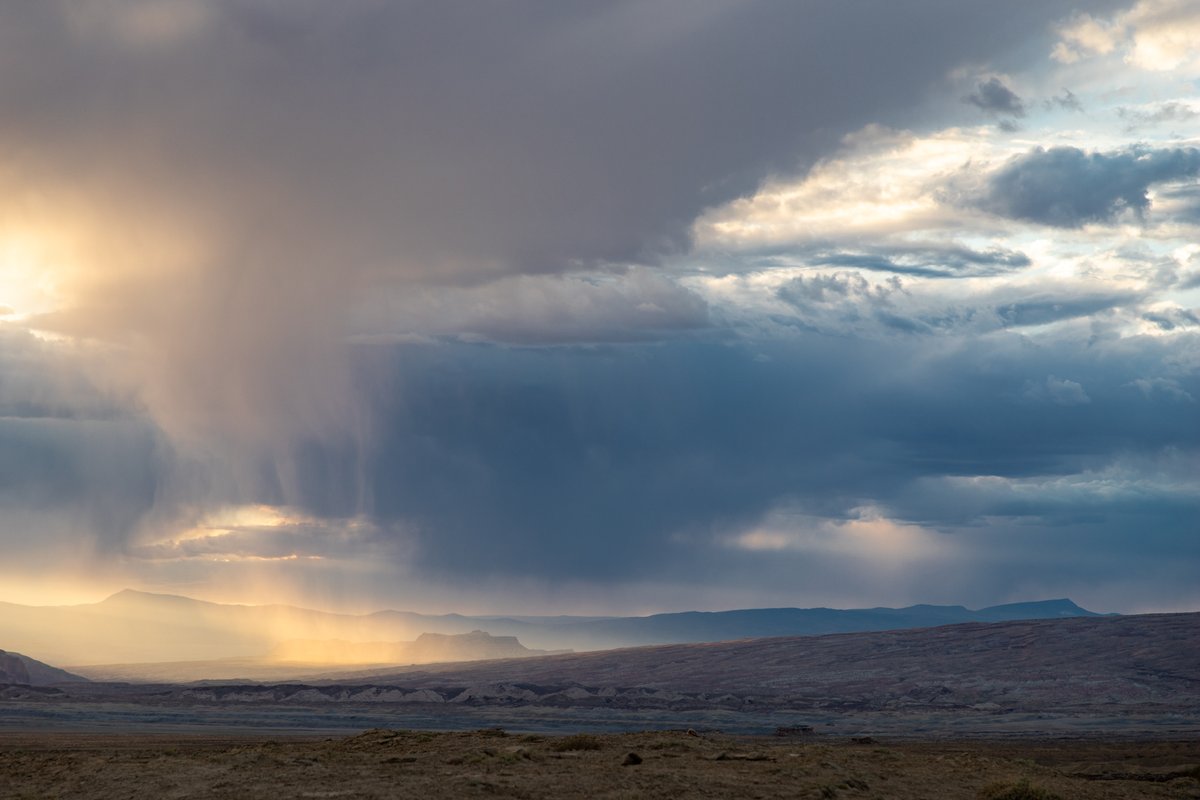 mfeingol tweet media