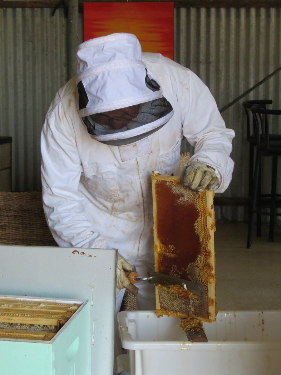 NLEGroup's tweet image. Another great NLE Members meeting held last Thursday/Friday (29 &amp;amp; 30 Oct) at Banjelungup Aboriginal Corporation near Bremer Bay. Thanks Bruce and crew for the excellent venue etc.