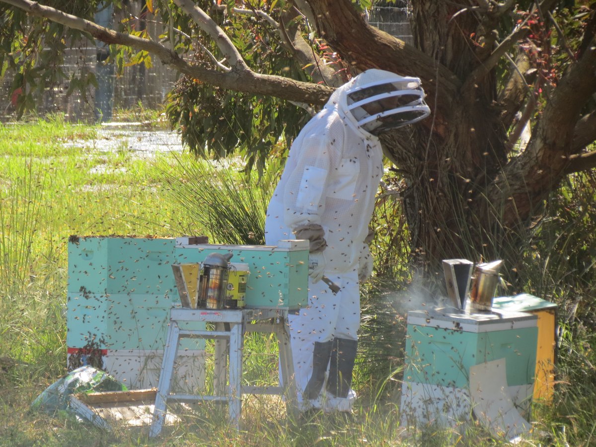 NLEGroup's tweet image. Another great NLE Members meeting held last Thursday/Friday (29 &amp;amp; 30 Oct) at Banjelungup Aboriginal Corporation near Bremer Bay. Thanks Bruce and crew for the excellent venue etc.