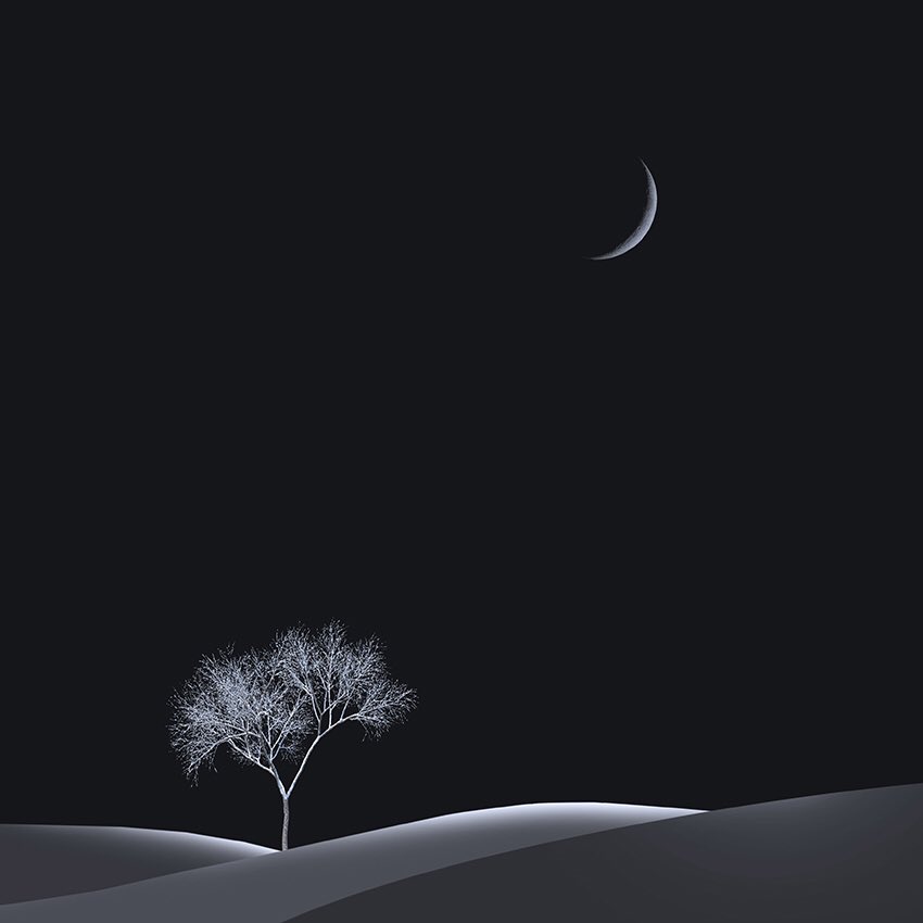 Moonlight1390's tweet photo. Surreal #photography by Iman Tehranian https://t.co/xWLEOhzVan