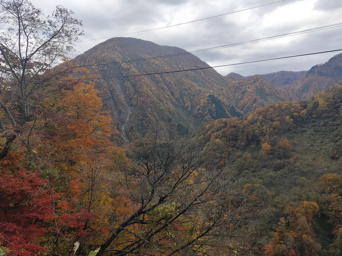 keriesansou's tweet photo. 今日は山崎旅館さんの岩間温泉に来ました！
秘湯みたいでホントに山の中にあってめっちゃ気持ちよかったです(*´ω｀*) https://t.co/kD3JKfKwLX