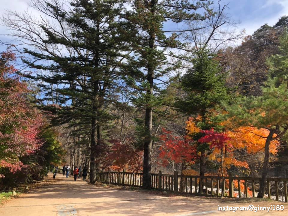 KoreanTravel tweet picture