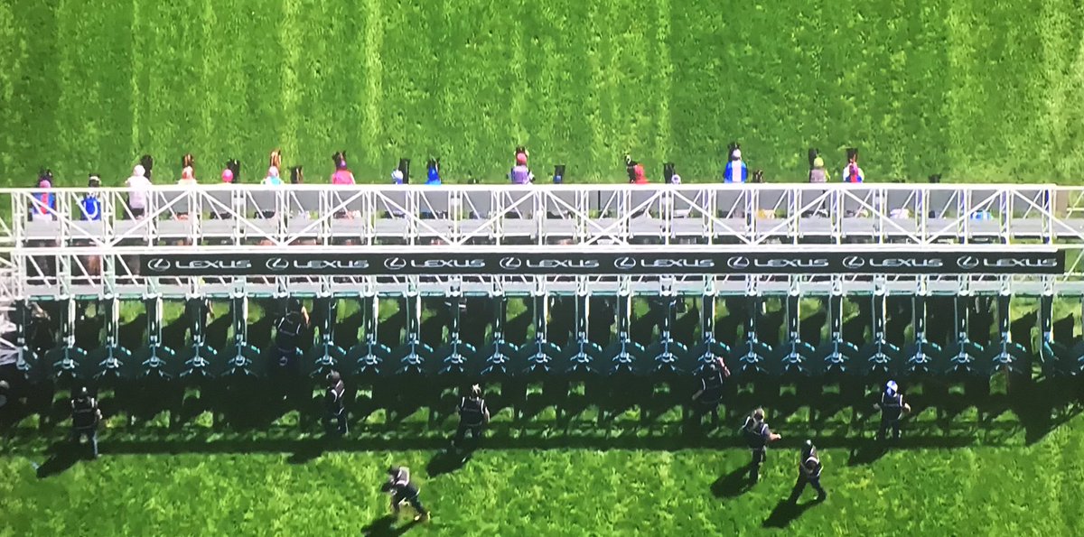 SterilineRacing's tweet photo. We just love starting this race!!! What a run from #TwilightPayment winning from the front! Congratulations to #JyeMcNeil and #JosephO’Brien 
#MelbourneCup2020 https://t.co/PP6OPuxett