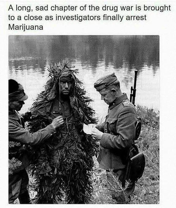 // drugs
104. 