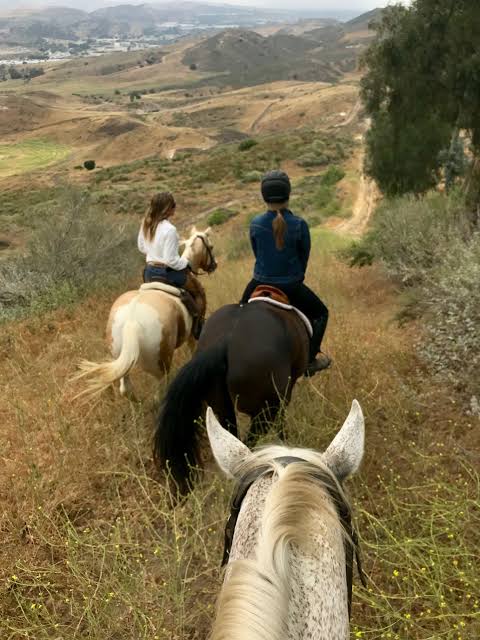 lele_efkay's tweet image. Pretoria📍
HORSE RIDING ADVENTURES 🐎

Price: R1200pp
Couples Special: R2000

Includes: 
- Transport 🚌
- Horse Riding 🏇
- Quad Biking 🛵
- Paint Ball 🔫
- Whole meal braai 🥩

BOOKINGS: 0613669160 
Follow: @ELProjects_ 

Nandos | Pitso | #SkeemSaam | Reece