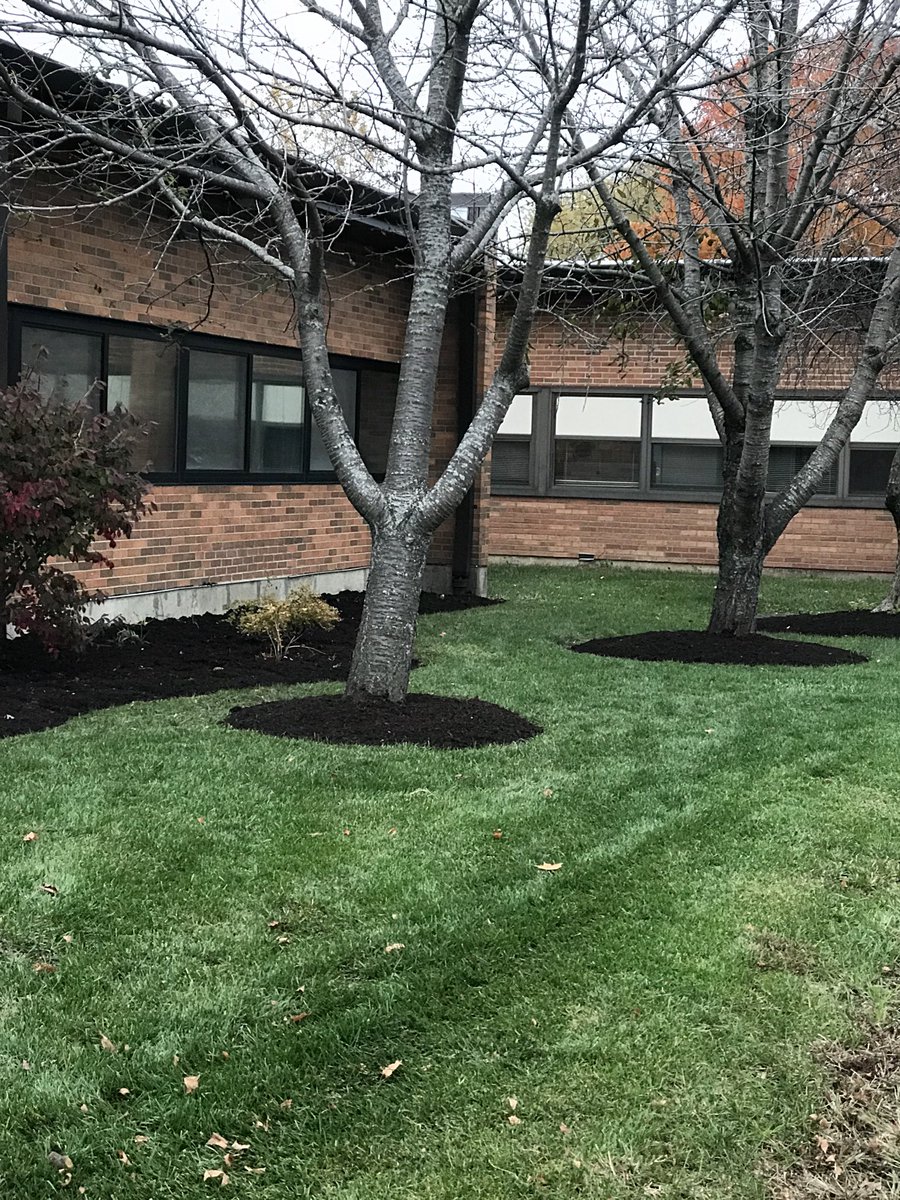 artisfun4u2's tweet photo. Thank you ⁦@LyleErstad1⁩ for providing mulch for the Seth Paine courtyard. Thank you ⁦@MRothermelD95⁩ for your support. I can’t wait to add more to the garden. #lovegardening #MakeTheirDay95 #SPdragons95 https://t.co/CMxdMtyaCo