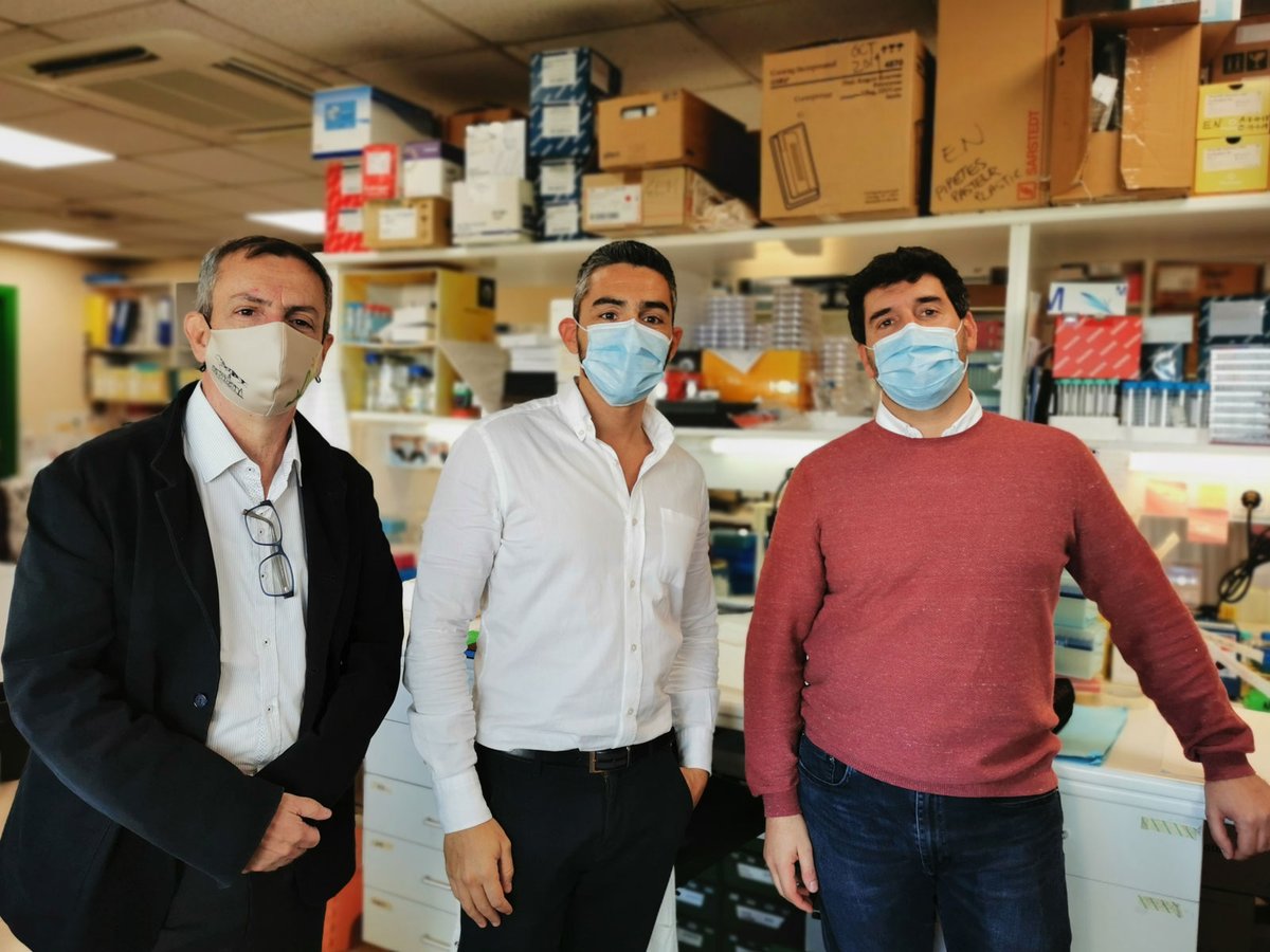 Investigadors de l'#IGTP, @ICOnoticies i <a href="/idibell_cat/">IDIBELL</a> troben un mecanisme que pot augmentar la supervivència en pacients de #càncer de pròstata avançat, un pas cap a una medicina més personalitzada per aquest càncer 👉 bit.ly/3jQpooY